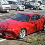 20100317alfa_04